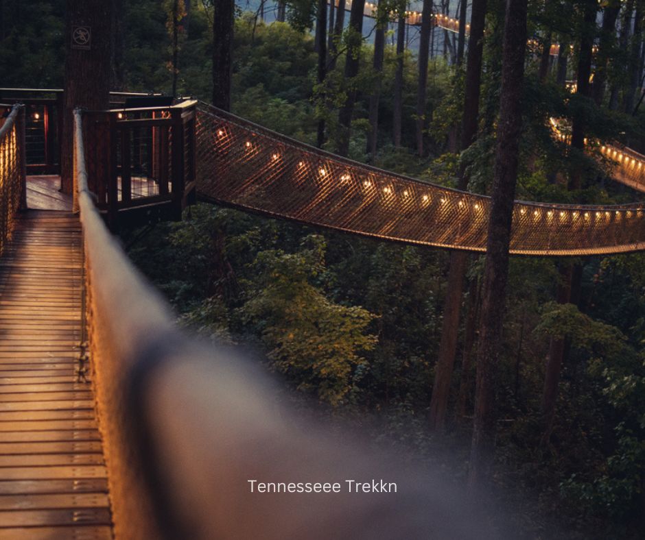 Anakeesta tree walk illuminated at night in Gatlinburg.