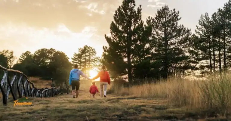 Family hiking on a wooded trail in the Smoky Mountains, representing family-friendly hikes and easy trails for all ages.