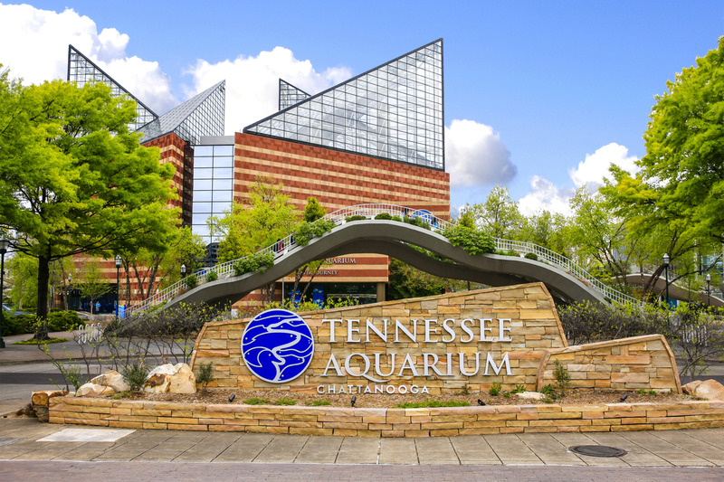 Tennessee Aquarium 