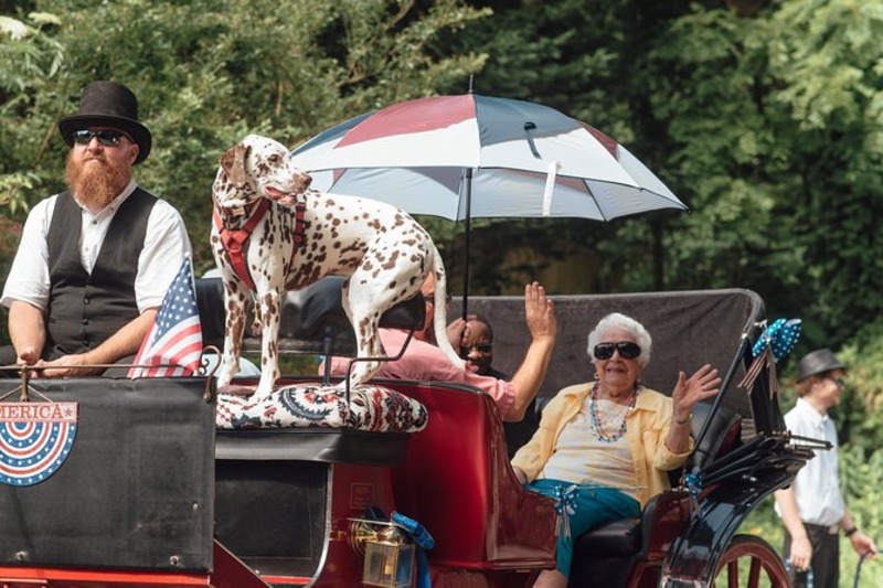 Horse and Carriage in Chattanooga Tennessee.  Downtown Chattanooga Horse and Carriage Tour, with his dog as co pilot.  