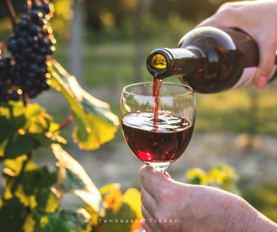 Hillside Winery; Sevierville, TN; Red Wine being poured into a stemmed