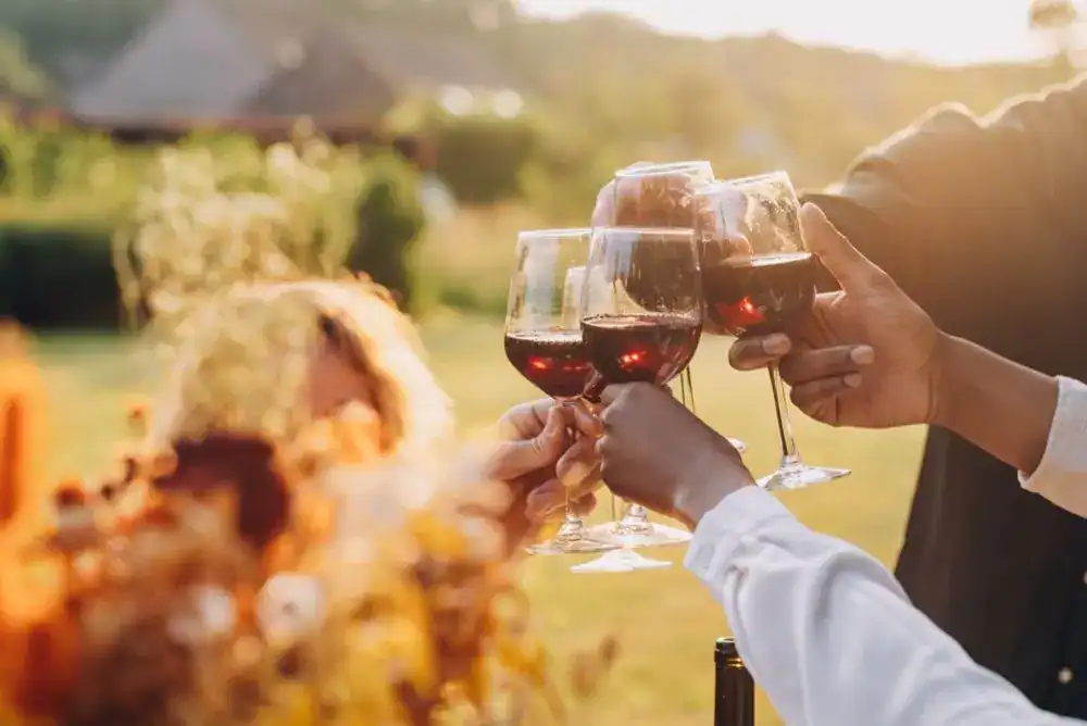 Toasting wine glasses at a beautiful vineyard. 