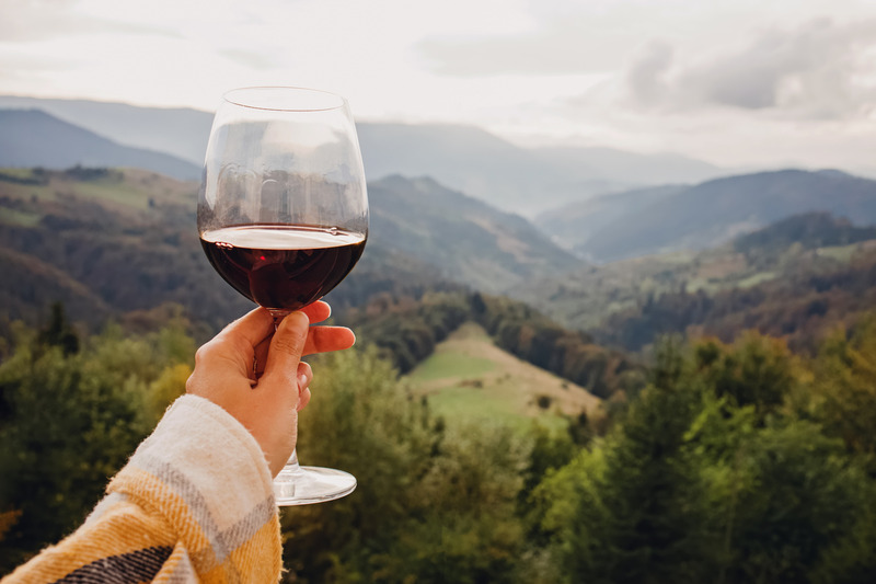 Wineries in East Tennessee, holding a wine glass with mountains in view