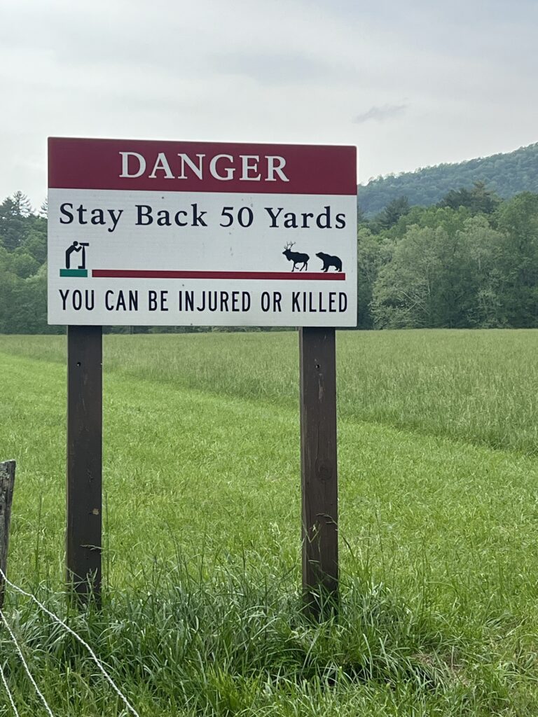 Wildlife and Bear Safety sign at Cades Cove Loop in the Smoky Mountains