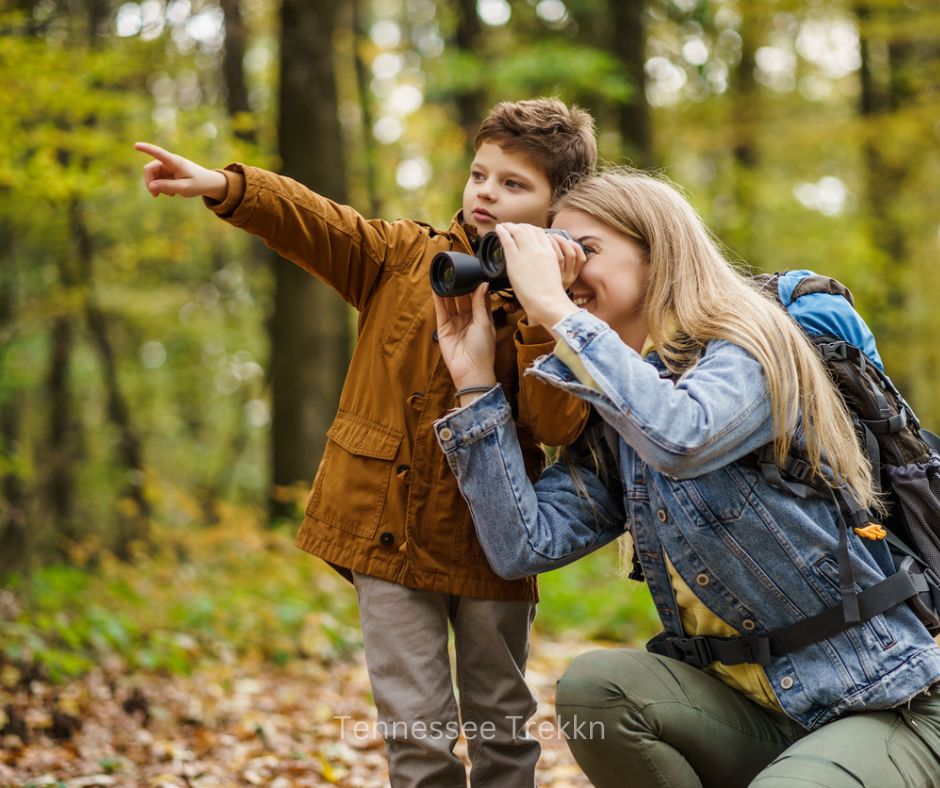 Adventure awaits! Exploring the woods, spotting wildlife, and seeing the world through a new lens—nothing beats the excitement of discovery in the Smokies!  Things to do in Townsend TN. 