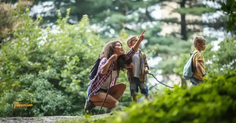 Family hiking on a forest trail in Tennessee – tips for hiking with kids