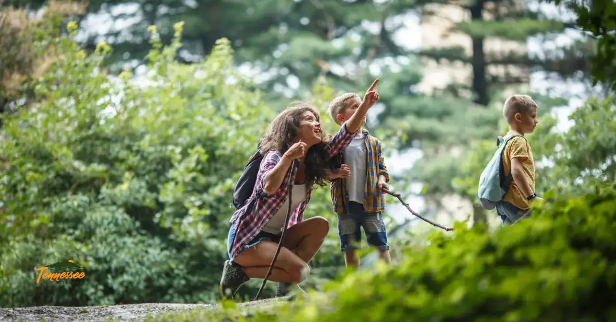 Family hiking on a forest trail in Tennessee – tips for hiking with kids