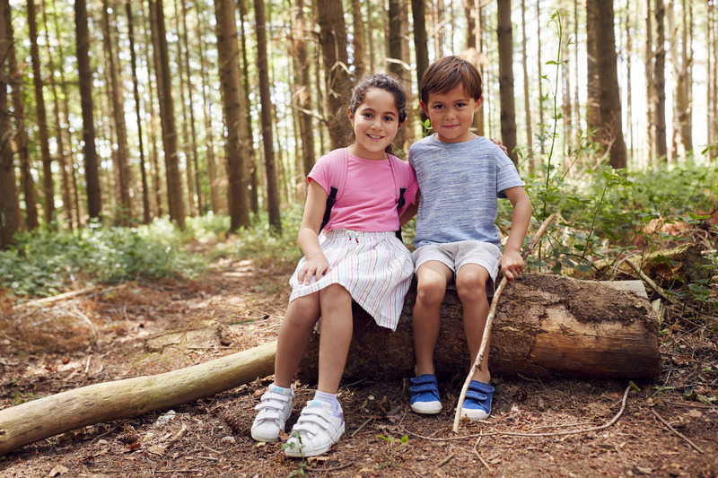 brother and sister sitting on a log; hiking; always encourage everyone to stay together when hiking with kids