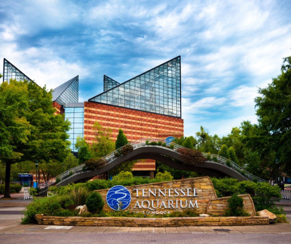 East Tennessee, Tennessee Aquarium, Chattanooga, TN