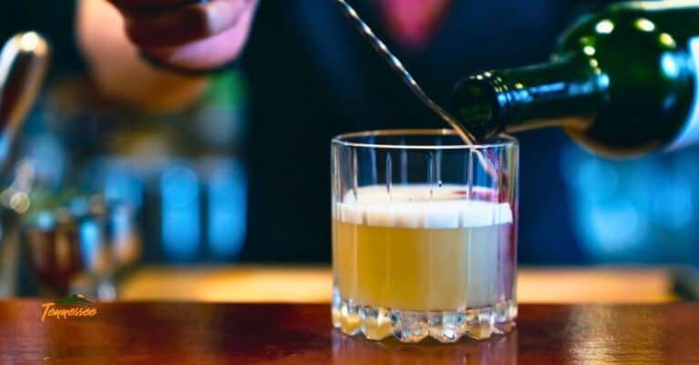 Tennessee Cocktails: Moonshine cocktails and unique whiskey Cocktails - image of cocktail