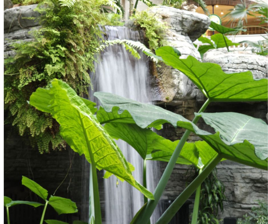 Gaylord Opryland Resort; Tropical Gardens and Waterfall