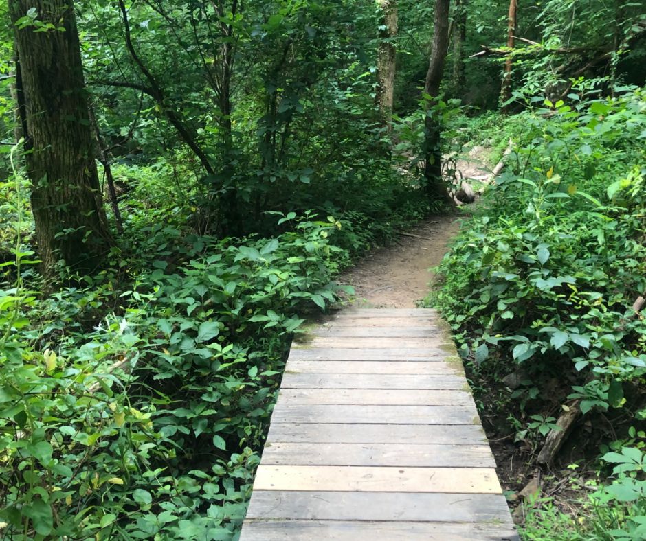 House Mountain Trail. Tennessee