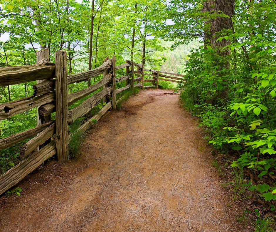 Nature Trail; explore Ijams Nature Center; fun things to do in knoxville