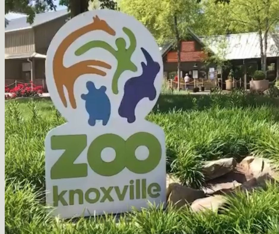 knoxville zoo; visit the knoxville zoo; fun things to do in knoxville tn