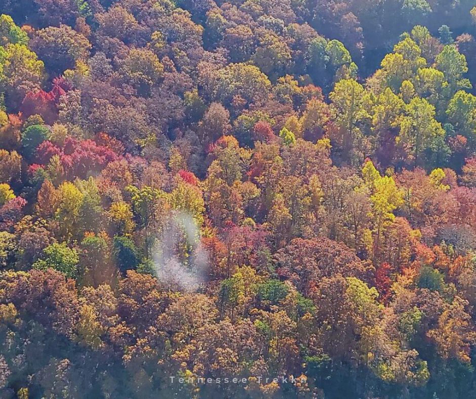 Incredible views of the Smokies from above—this is a must-see! Helicopter Rides in the Smokies