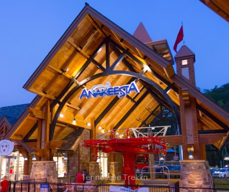 Experience the magic of Anakeesta—one of the top things to do in the Smokies! Plan your adventure HERE!