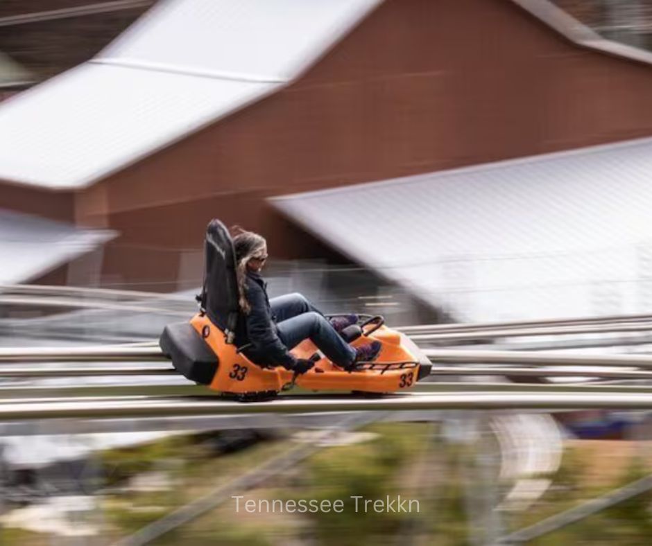 Zoom through the Smokies on a thrilling mountain coaster ride—perfect for adventure seekers of all ages! Book your ride HERE!