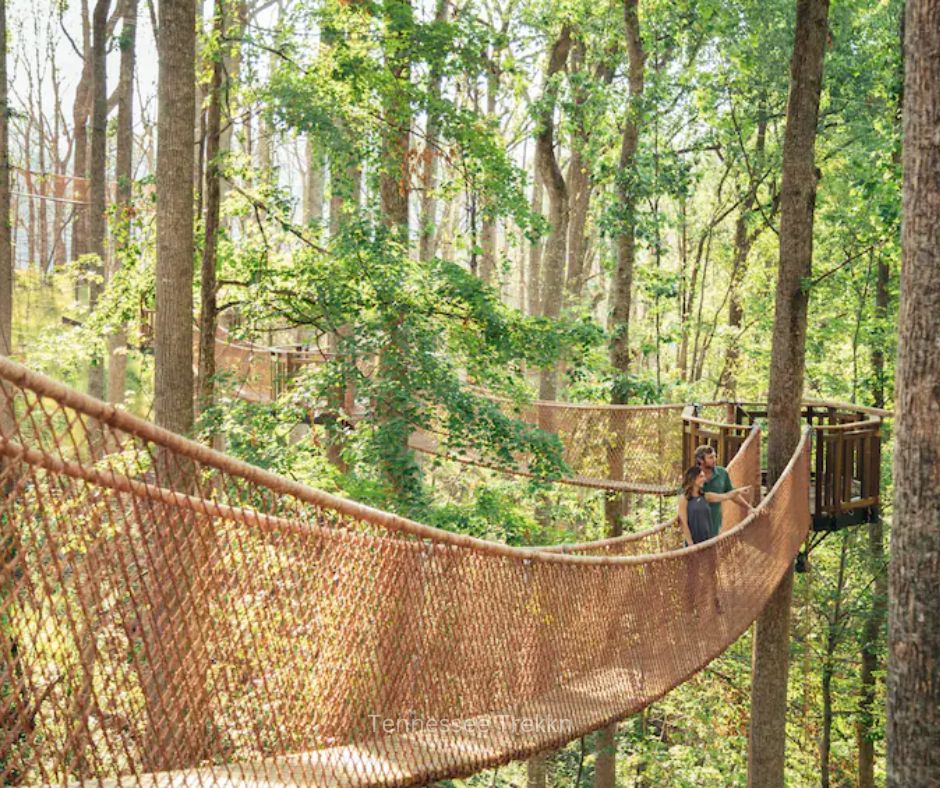 People walking across hanging bridges in the treetops at Anakeesta in Gatlinburg