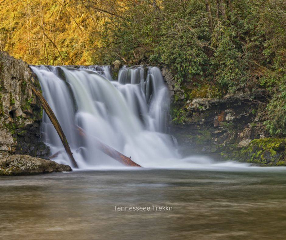 Abrams Falls waterfall in the Great Smoky Mountains National Park surrounded by forest.