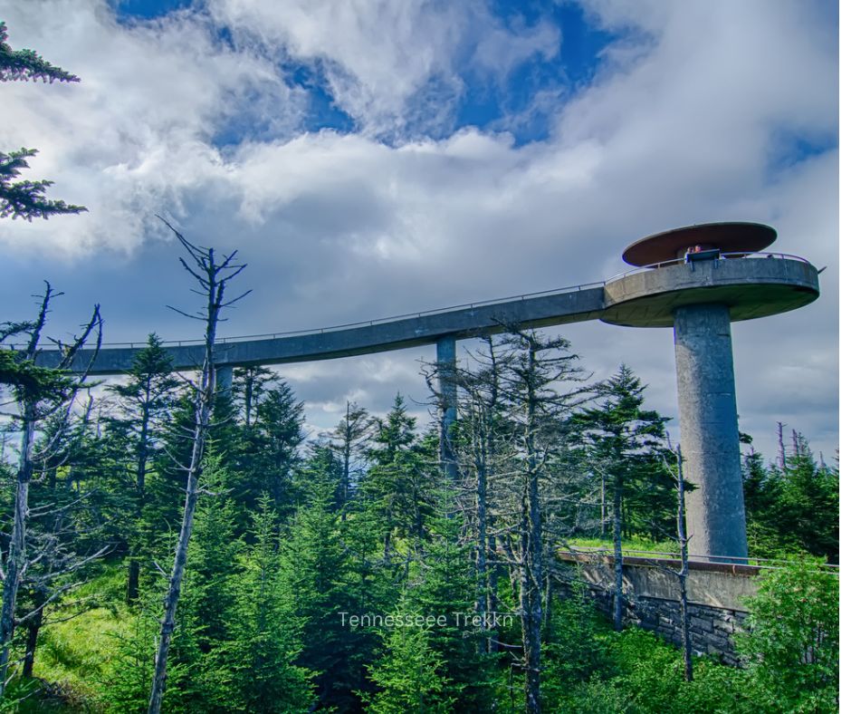 View of Clingmans Dome in the Smoky Mountains, also known as Kuwahi.