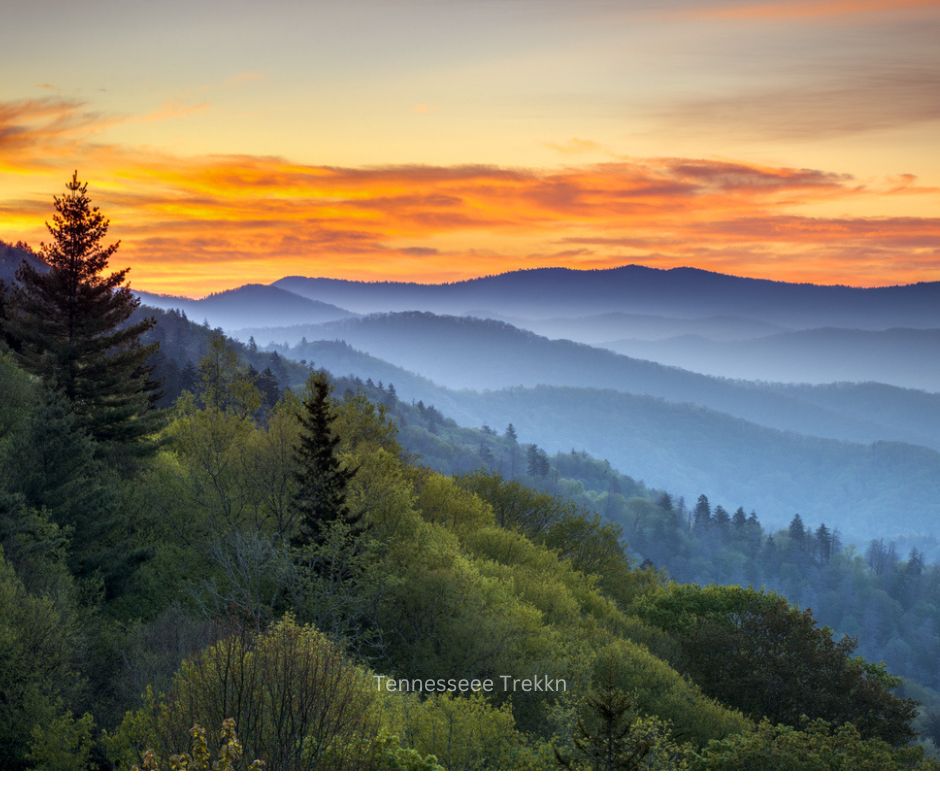  Blue mist covering the mountains in Great Smoky Mountains National Park.