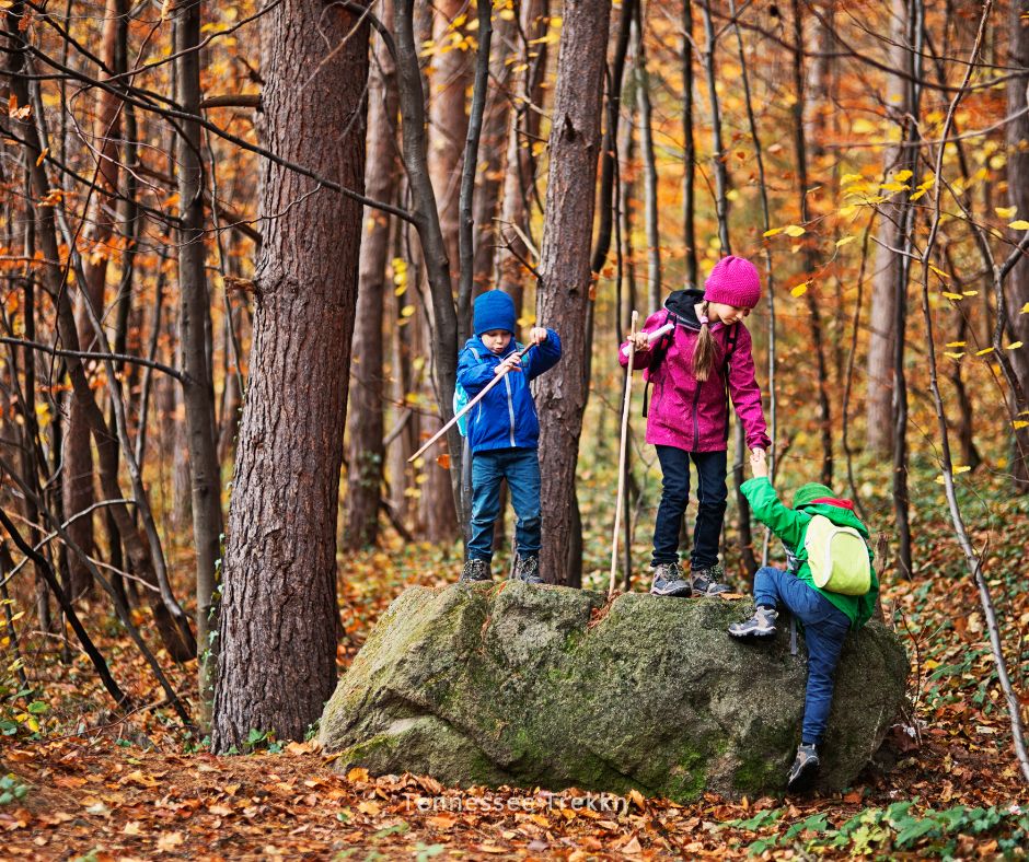 Kids climbing on a large rock outdoors, enjoying the thrill of exploration and outdoor fun.