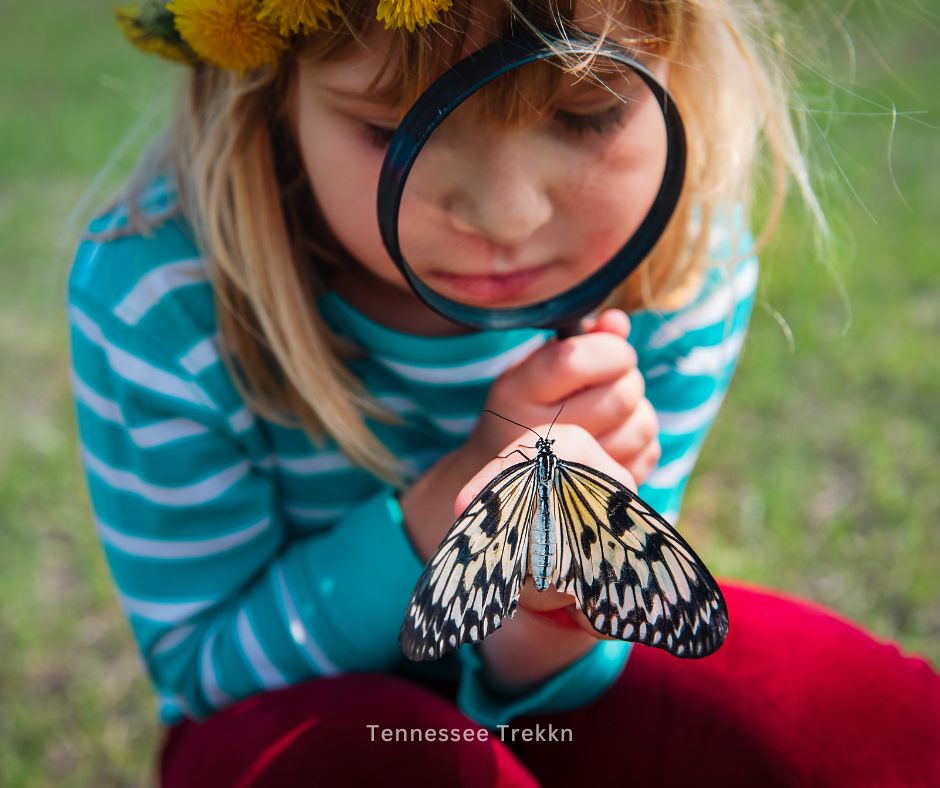 Little girl enjoying looking at a butterfly in the outdoors with a magnifying glass. 