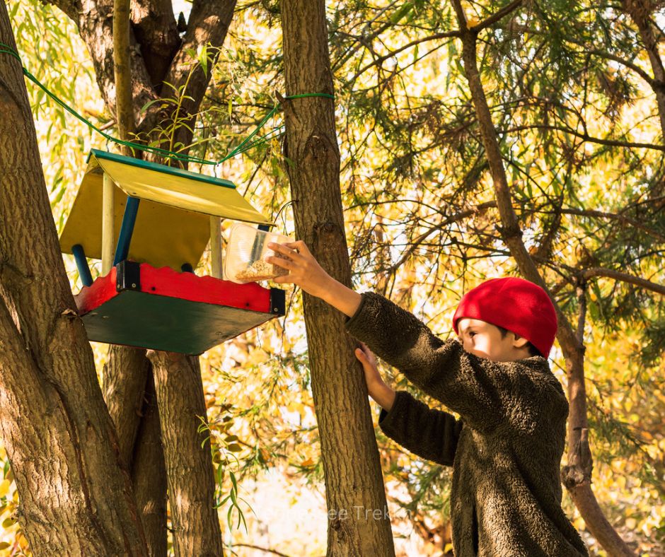 A boy placing food in an outdoor bird feeder, enjoying a fun nature activity.