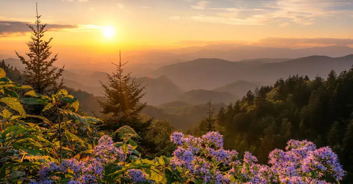 Sunrise over the Smoky Mountains, highlighting the best views and outdoor things to do in East Tennessee.