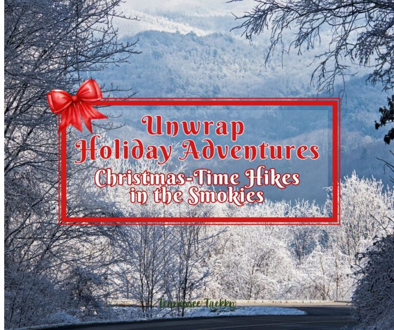 Unwrap Holiday Adventures. Christmas-Time Hikes in the Smokies.