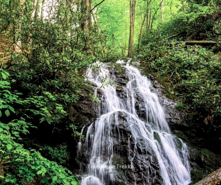 Cataract Falls in the Smoky Mountains, a peaceful waterfall with easy trails for families and kids to explore.