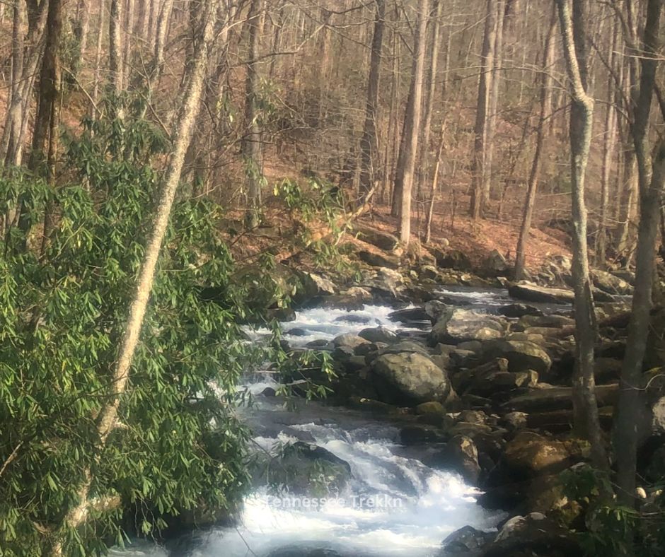 Middle Prong Trail in the Tremont area of the Smoky Mountains,.