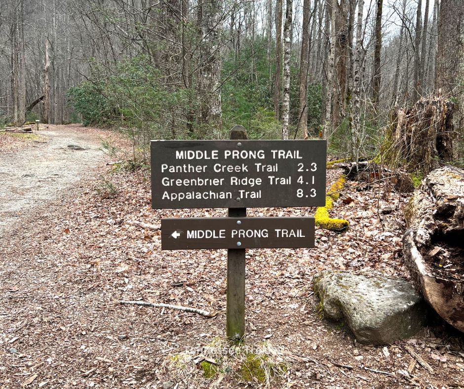 Middle Prong Trail Sign.