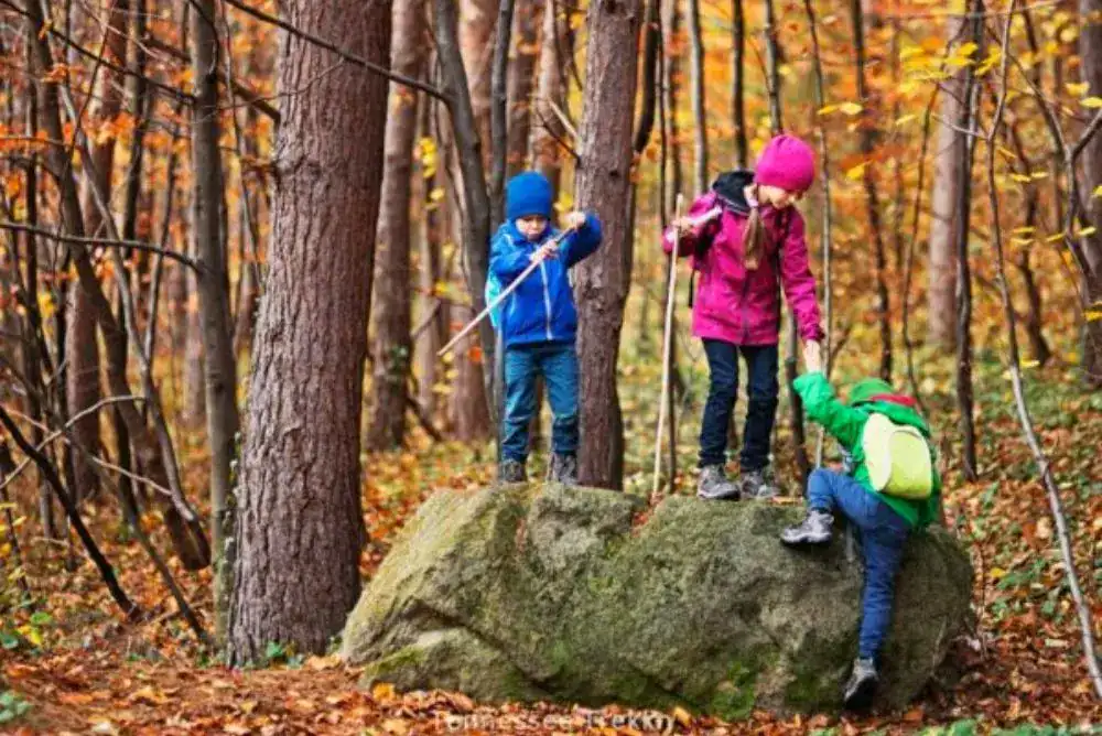 Three kids wearing small backpacks and hiking boots climb a mossy boulder on a fall trail, walking sticks in hand.