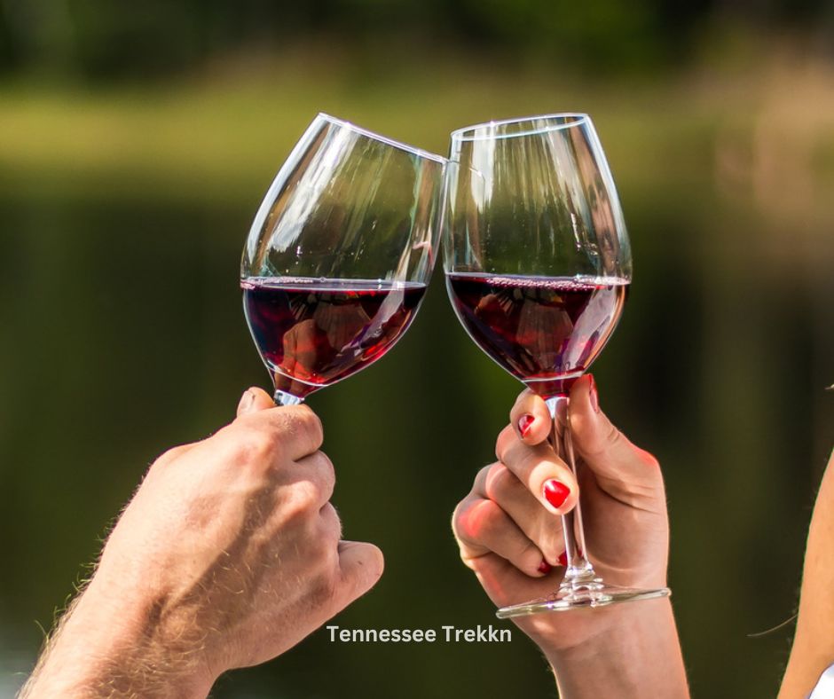 Two glasses of red wine clinking together, symbolizing the joy of exploring Tennessee wine trails.