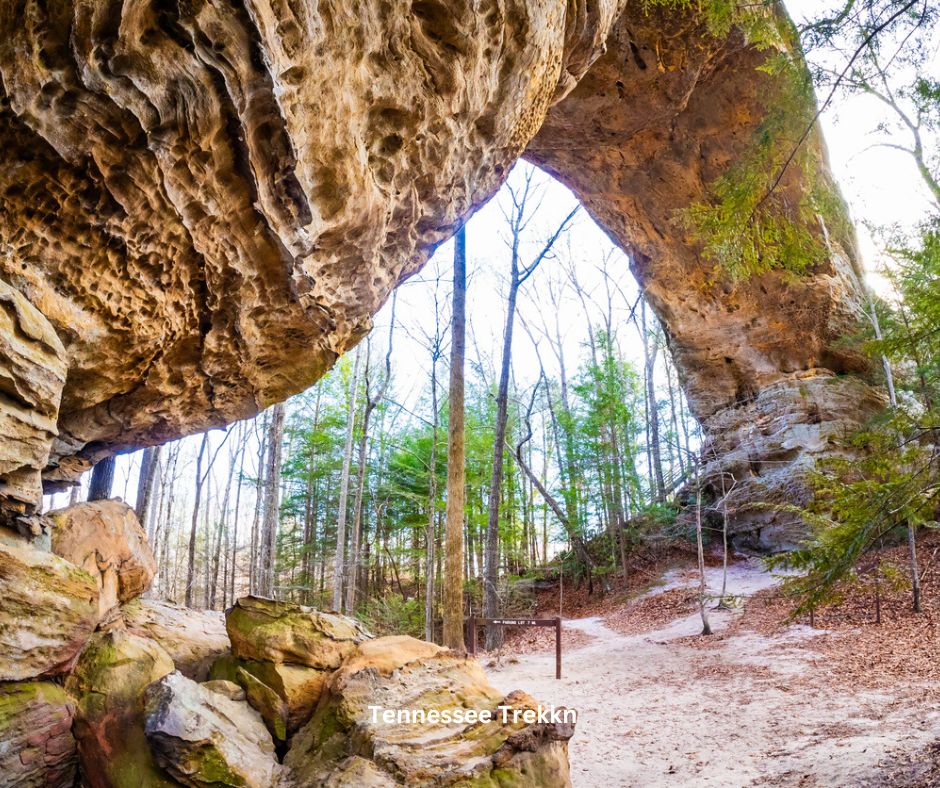 A stunning natural arch formation in Big South Fork National River and Recreation Area, 