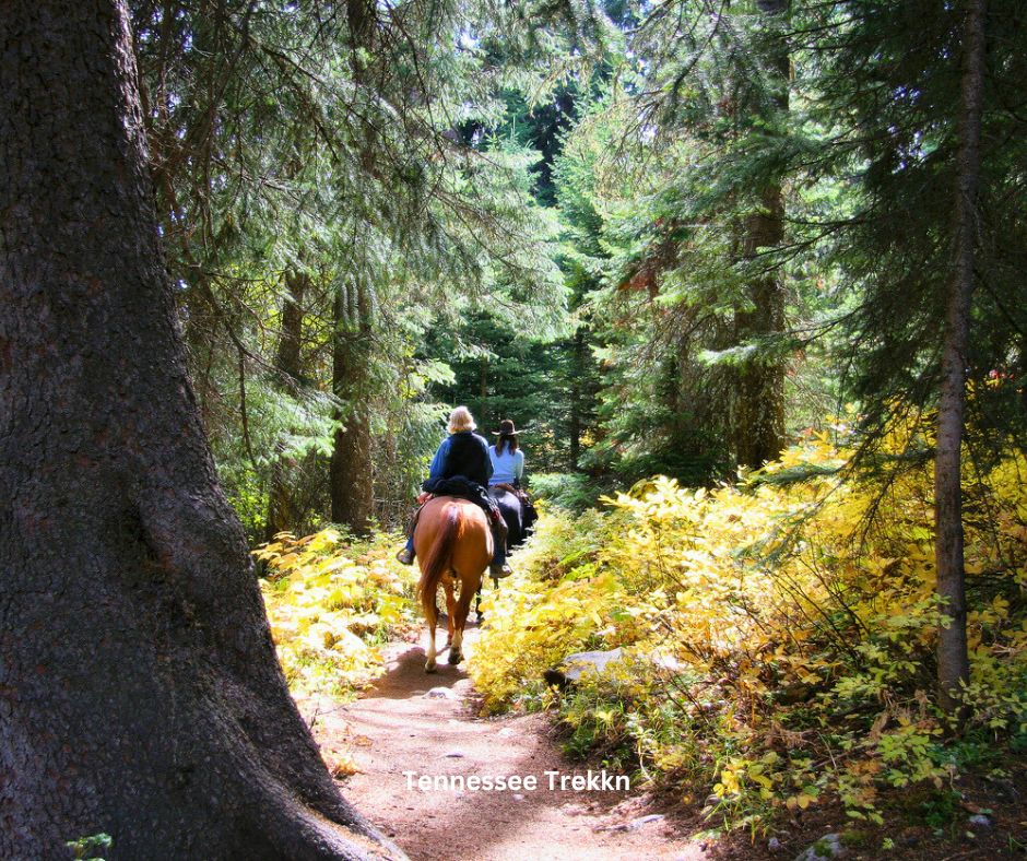 A horseback rider on a scenic trail in Big South Fork National River and Recreation Area, 