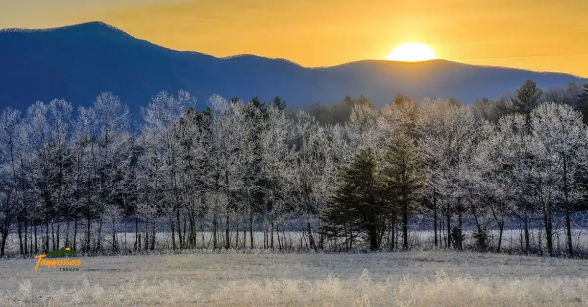 Snow-covered fields and distant mountains along the Cades Cove Loop in the Smokies, capturing the peaceful winter scenery.