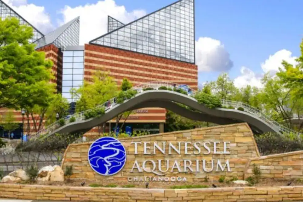 Tennessee Aquarium – iconic riverfront building in downtown Chattanooga.

