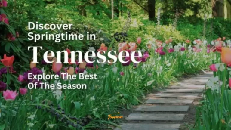 Beautiful path of flowers. Discover springtime in Tennessee.