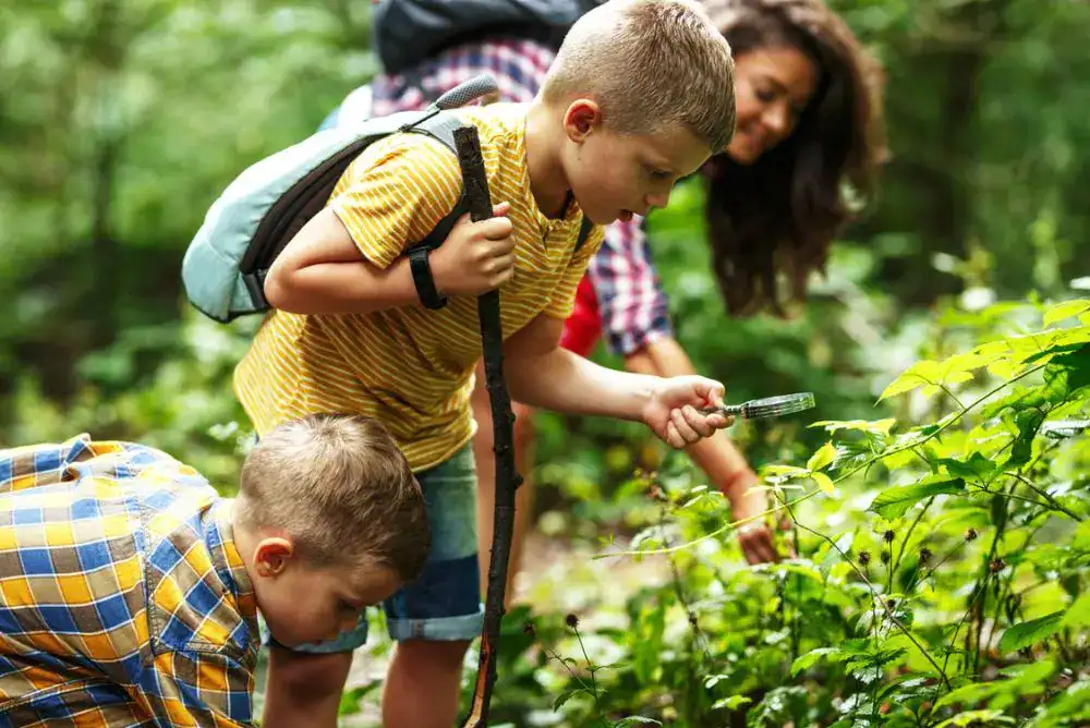 Kids exploring plants along a family hiking trail during outdoor spring adventures for families in Tennessee