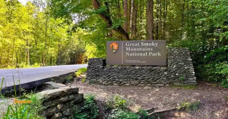 Entrance sign at Great Smoky Mountains National Park, referencing the Park It Forward parking pass required for visitors.