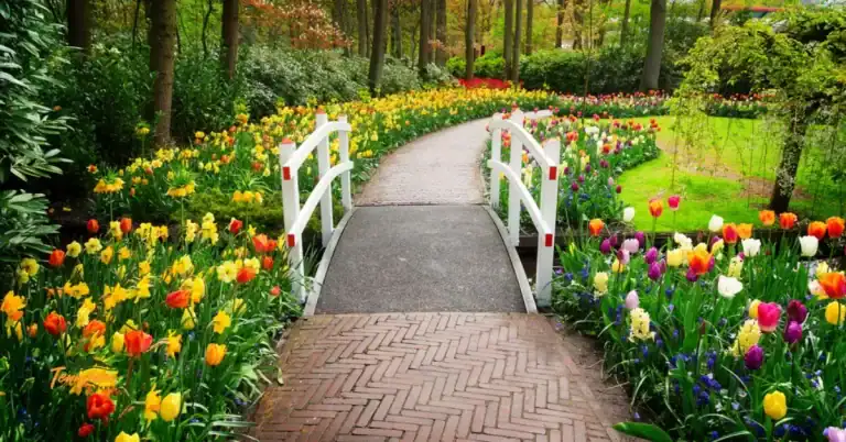 Scenic walkway lined with blooming tulips and flowering trees — a beautiful example of things to do in spring in Tennessee for nature lovers and outdoor explorers.