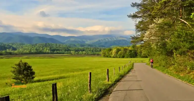 Cyclist riding along the scenic loop road in Cades Cove, Tennessee, during an auto-free Wednesday — showcasing peaceful outdoor recreation in the Smoky Mountains.