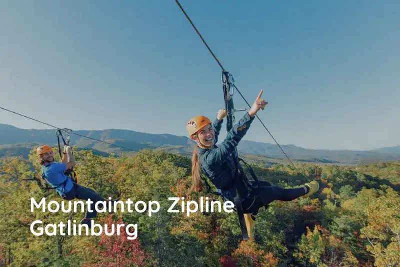 Woman ziplining through the trees with scenic Smoky Mountains in the background during a family summer vacation in Pigeon Forge







Woman ziplining through the trees with scenic Smoky Mountains in the background during a family summer vacation in Pigeon Forge








