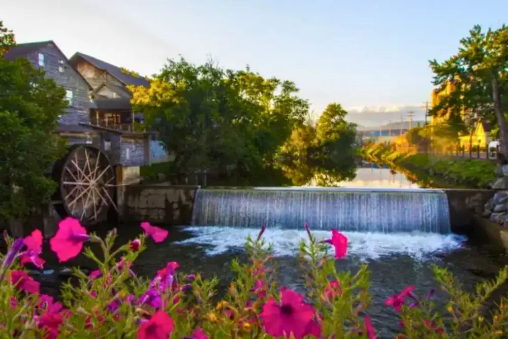 The Old Mill waterwheel and river with pink wildflowers in Pigeon Forge Tennessee — a perfect stop on your budget-friendly family vacation
