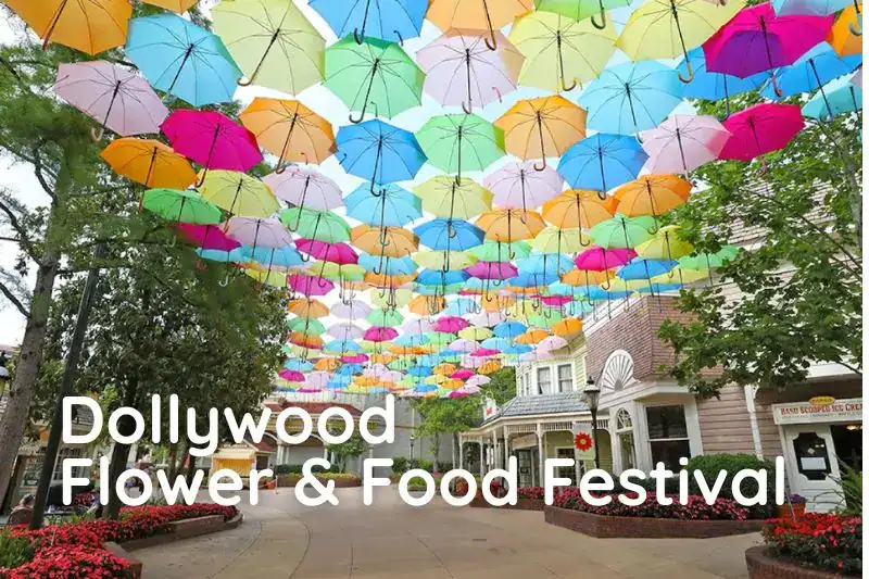 Colorful umbrella sky installation at Dollywood Flower & Food Festival, a highlight of a summer family vacation in Pigeon Forge.

