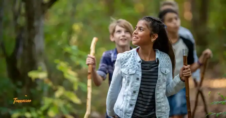 Kids hiking on a forest trail with walking sticks, enjoying a family-friendly outdoor adventure in the Smoky Mountains with hiking essentials for kids