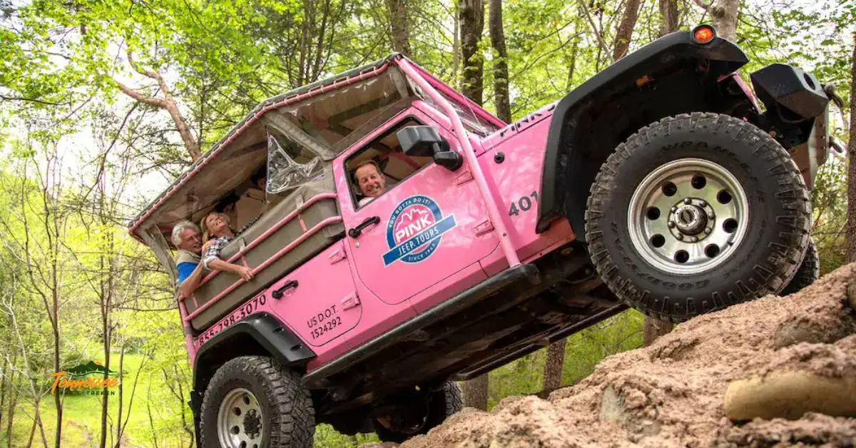 Family jumping in front of a Pink Jeep Tours vehicle during a guided tour in the Smoky Mountains of Tennessee — a fun and photo-worthy adventure for all ages.