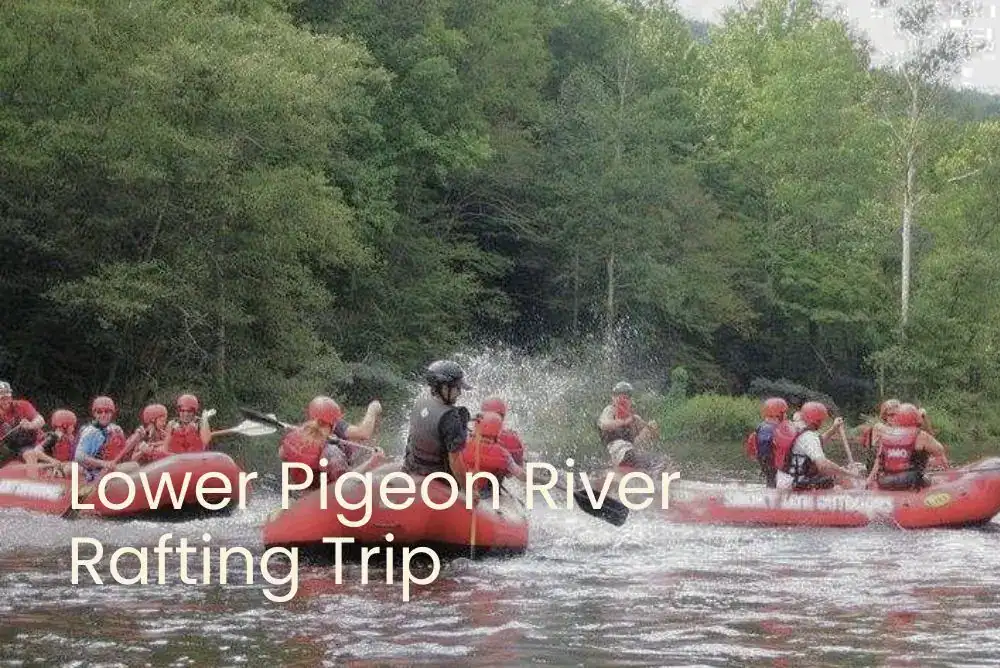 Group of rafts floating on calm Lower Pigeon River during a family-friendly rafting in the Smokies adventure, splashing with oars